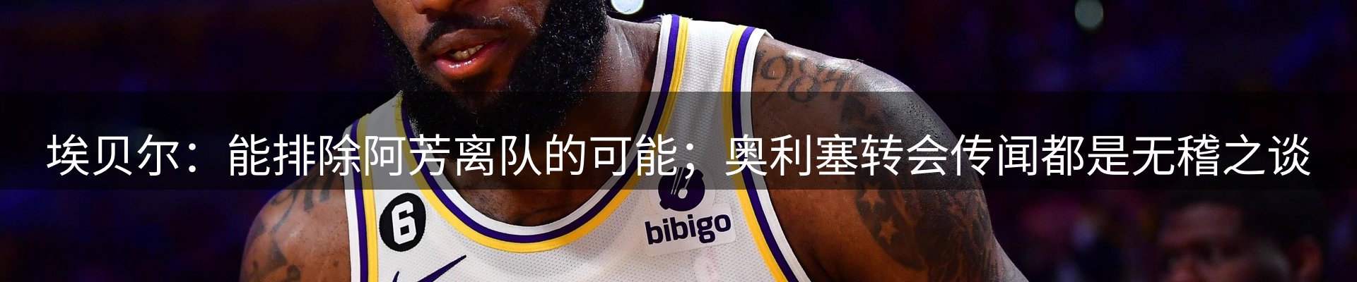 新闻动态