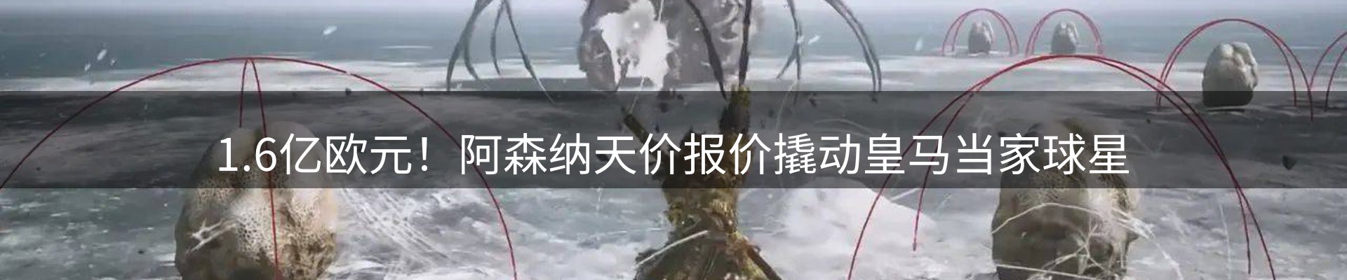 新闻动态